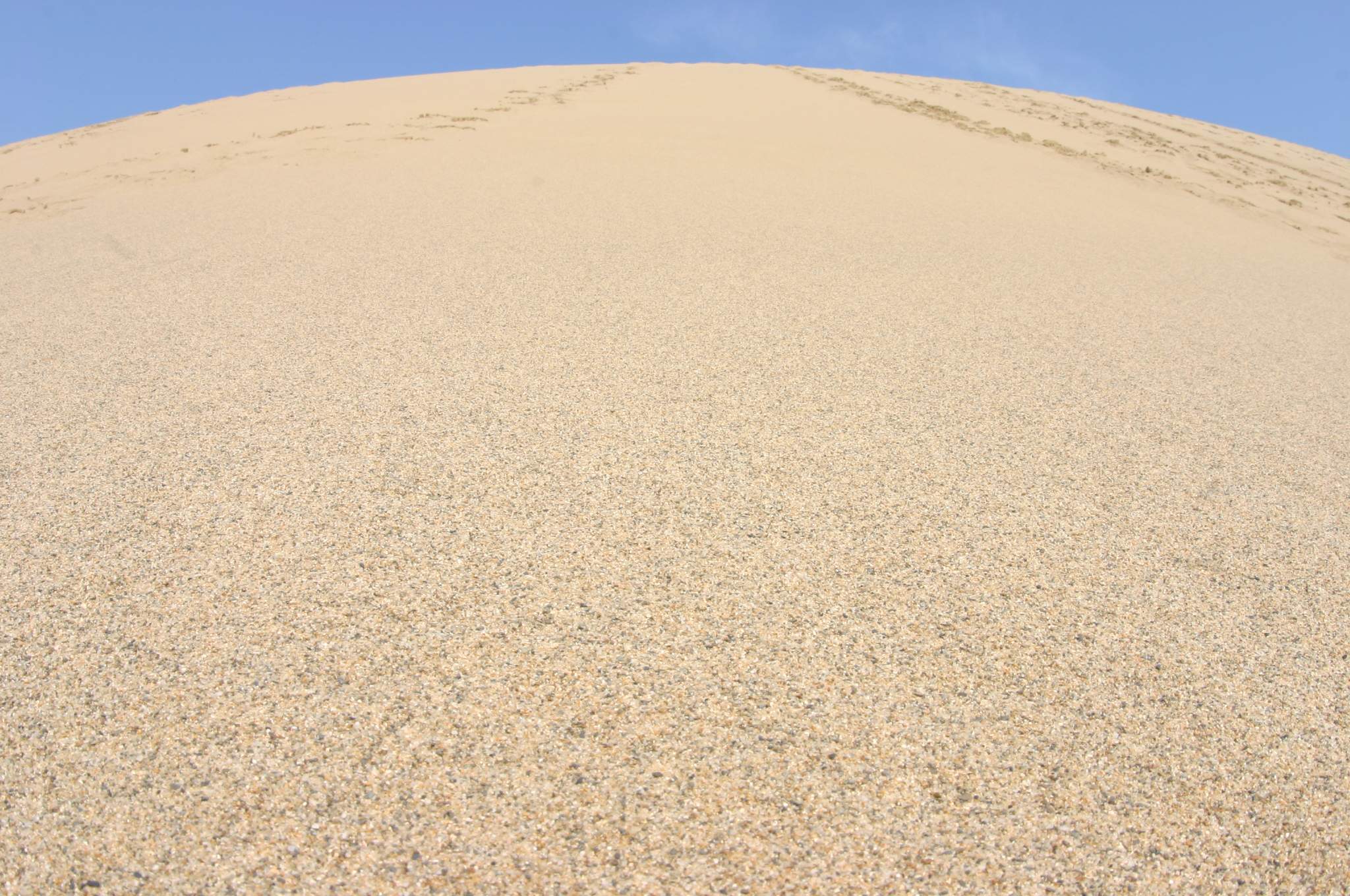 砂丘の山