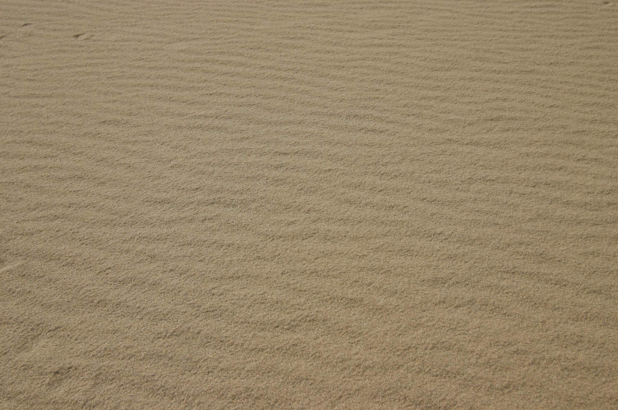 砂の風紋