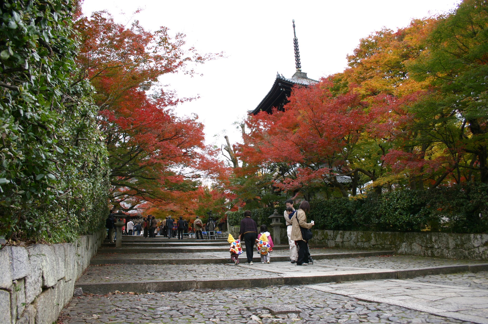 京都の真如堂の紅葉（真正極楽寺）