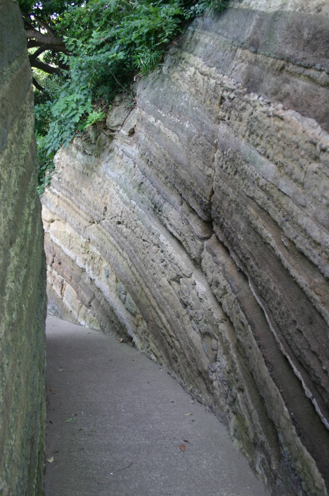 岩の地層